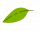 leaf2t