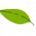 leaf3t