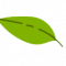 leaf3t